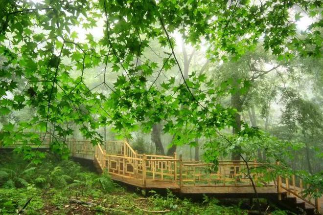 必威【@所有人】邀您关注:“大美龙江 无法不美”旅游普法活动(学法送票——走进哈尔滨)有奖答题即将开始!(图7) 必威【@所有人】邀您关注:“大美龙江 无法不美”旅游普法活动(学法送票——走进哈尔滨)有奖答题即将开始!(图7)