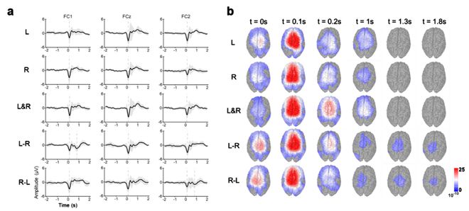 北理工团队探索了双上肢不同协同运动方式下的神经活动规律以及运动解码(图2)