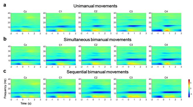北理工团队探索了双上肢不同协同运动方式下的神经活动规律以及运动解码(图3)