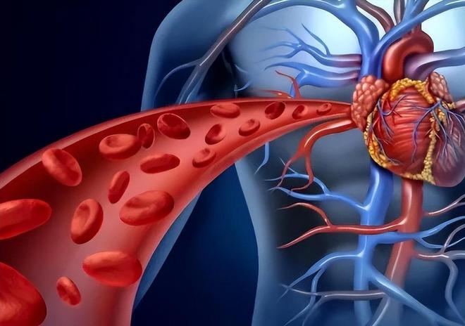 世卫组织呼吁：停止使用电热水壶否则会诱发癌症？真相来了！(图4)