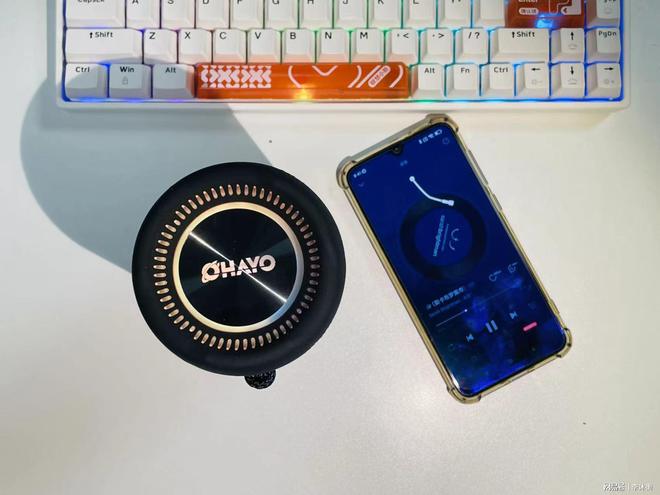 不是JBL买不起雷登X10MAX更有性价比！(图8)