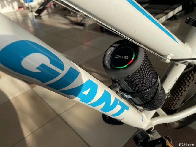 不是JBL买不起雷登X10MAX更有性价比！(图3)