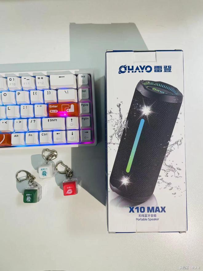 不是JBL买不起雷登X10MAX更有性价比！(图1)