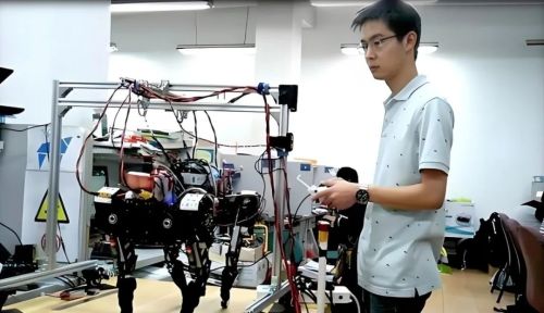 王兴兴：斗狗(图11)