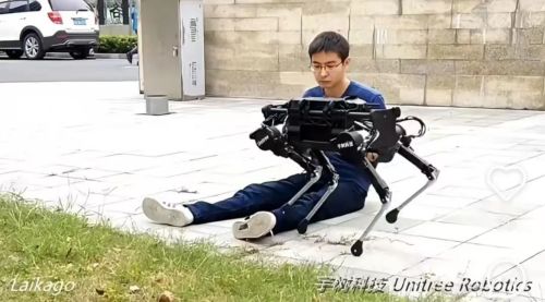 王兴兴：斗狗(图8)