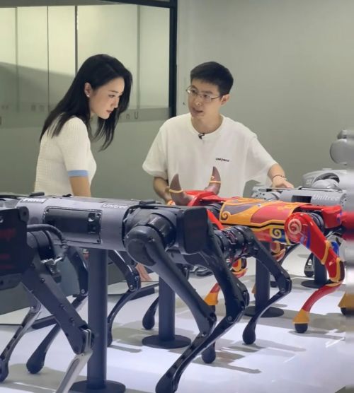 王兴兴：斗狗(图16)