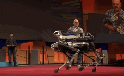 王兴兴：斗狗(图19)