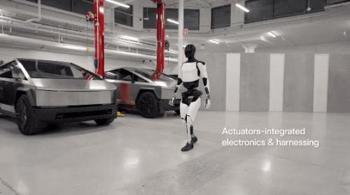 王兴兴：斗狗(图23)