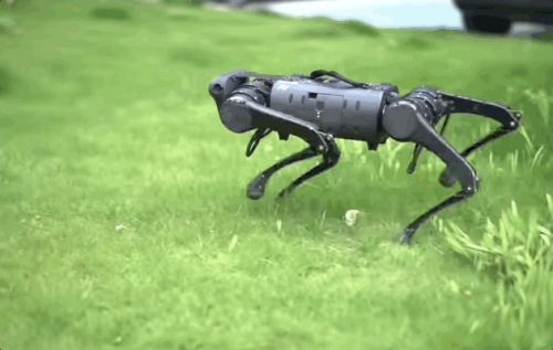 王兴兴：斗狗(图26)