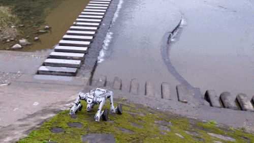 王兴兴：斗狗(图25)