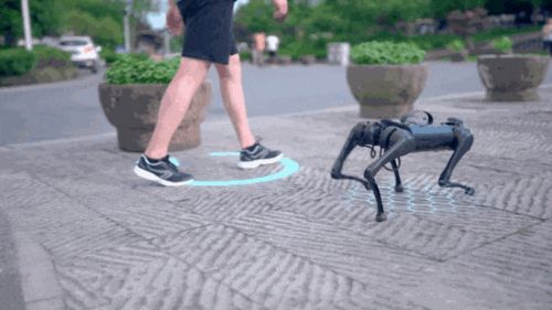 王兴兴：斗狗(图31)