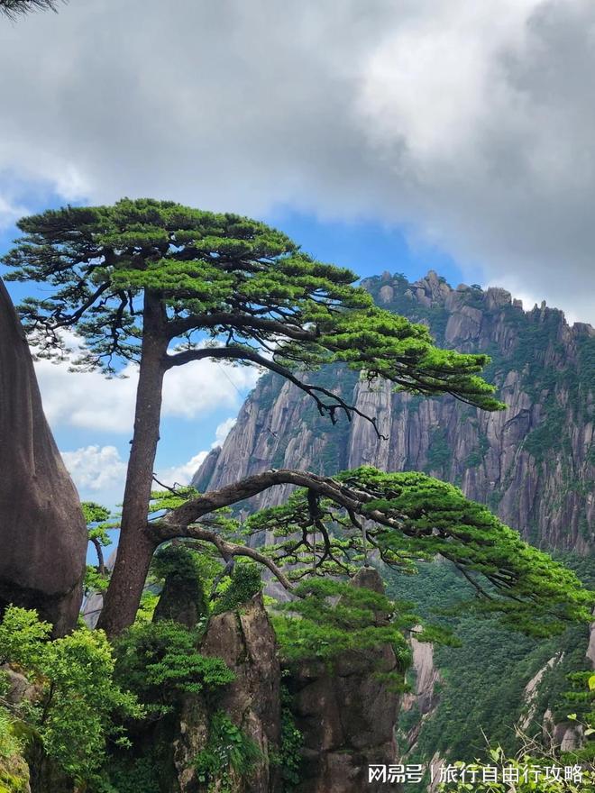 黄山5日游最值得去的地方推荐纯分享记录！(图2)