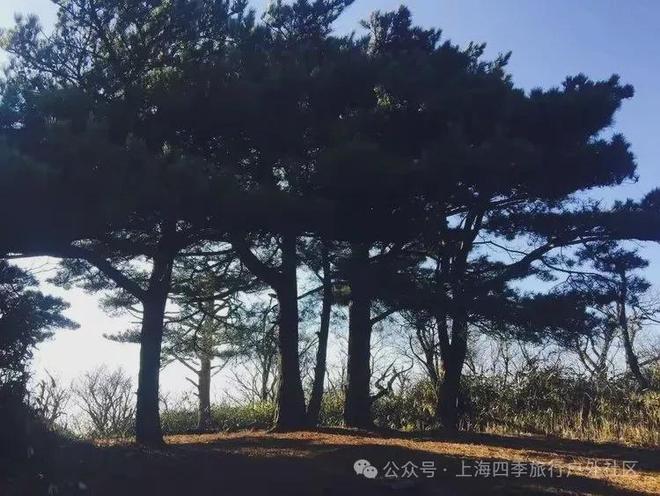 杭州节理峰环线线路攻略：徒步天目山脉邂逅自然的壮美与宁静(图1)