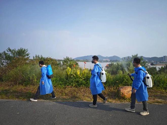 全面消杀、依法查处……肇庆“灭蚊大作战”持续进行中！(图4)