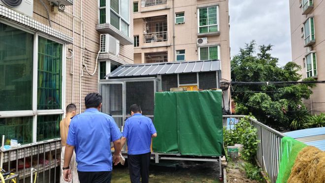 全面消杀、依法查处……肇庆“灭蚊大作战”持续进行中！(图10)