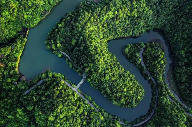 这场绥宁“竹乡”的文体旅盛会邀您共赴山水之约(图2)